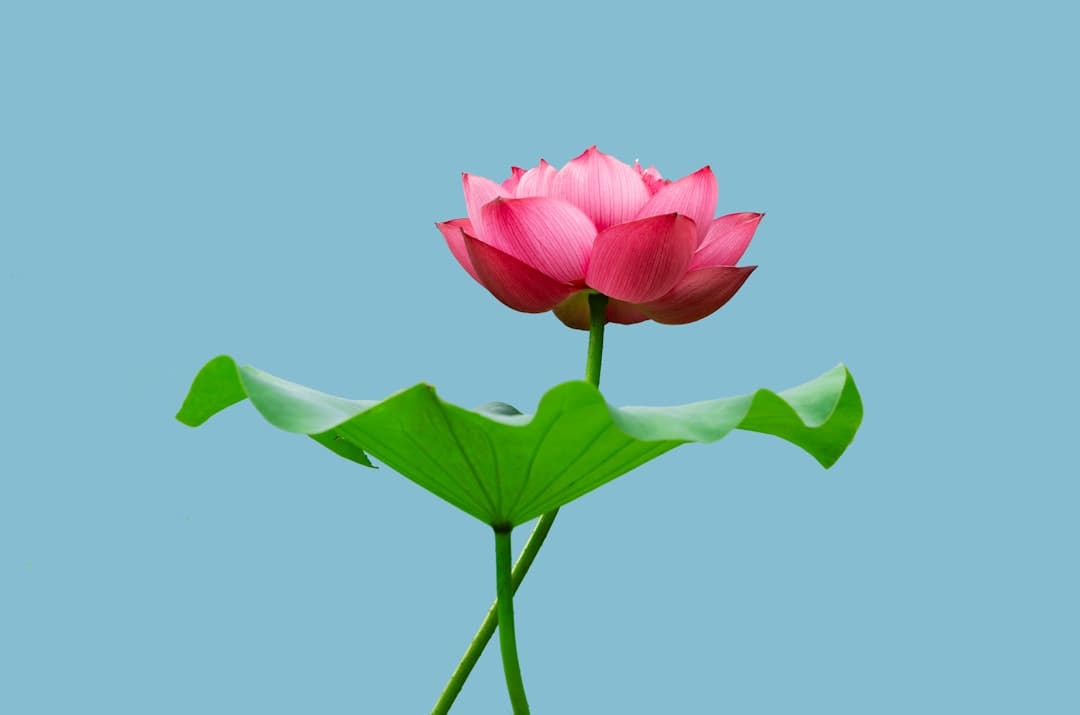 净利暴降超七成，瓜子大王洽洽“不香”了？